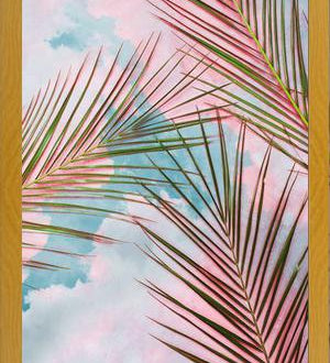 Cuadro Palms + Sky