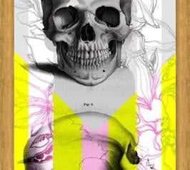 Cuadro Skull in Summer