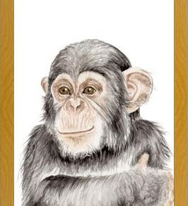 Cuadro Chimpancé
