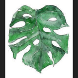 Cuadro Hoja Monstera