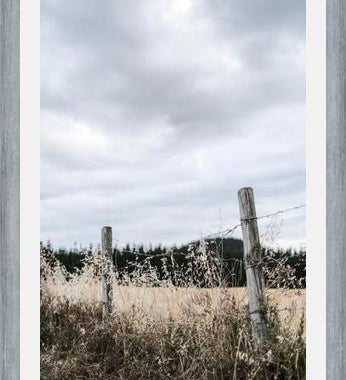 Cuadro notion #3