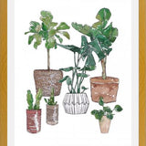 Cuadro Plantas