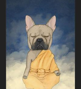 Cuadro Frenchie meditation