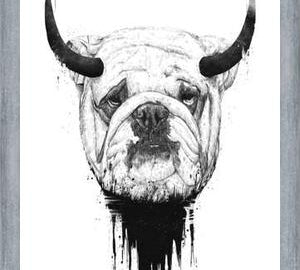 Cuadro Bulldog