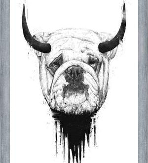 Cuadro Bulldog