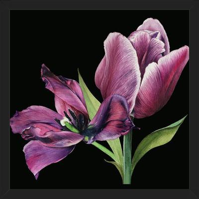 Cuadro Pareja de tulipanes