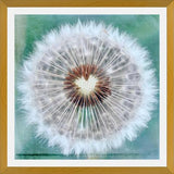 Cuadro Dandy Heart