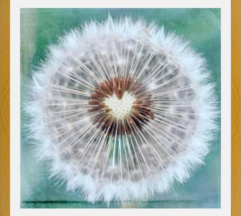 Cuadro Dandy Heart