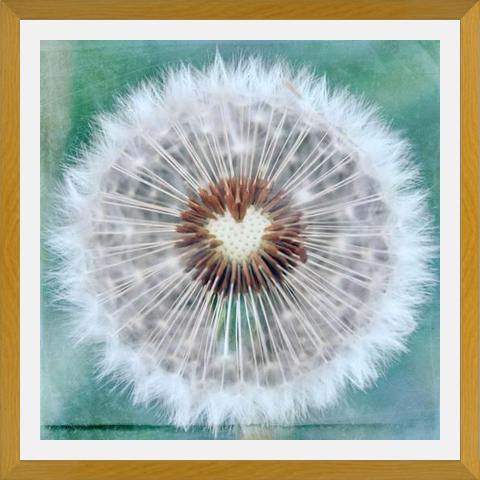 Cuadro Dandy Heart