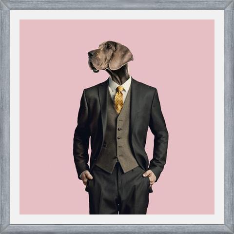 Cuadro Dog