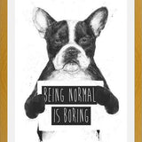 Cuadro Being normal is Boring