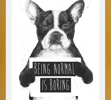 Cuadro Being normal is Boring
