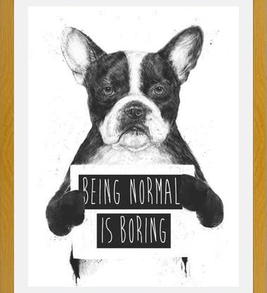 Cuadro Being normal is Boring