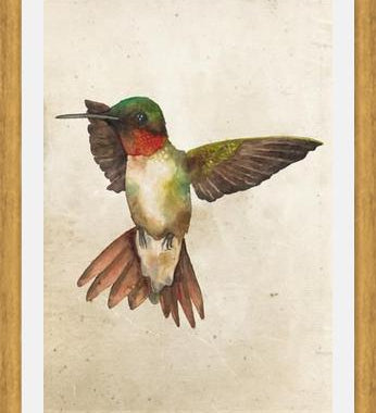Enmarcado Colibrí Acuarela