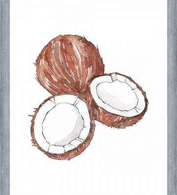 Cuadro COCONUTS