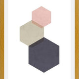 Cuadro 3 hexagons - pink