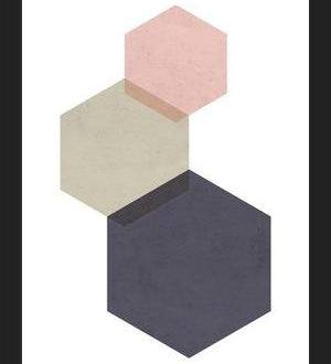 Cuadro 3 hexagons - pink