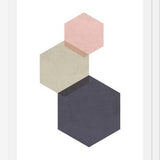 Cuadro 3 hexagons - pink