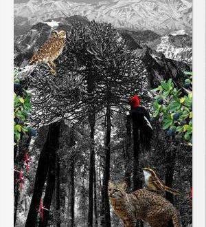 Cuadro poster sureño