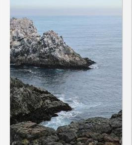 Cuadro PUQUEN II
