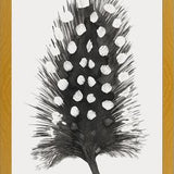 Cuadro Pluma Acuarela 4
