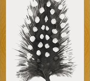 Cuadro Pluma Acuarela 4