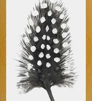 Cuadro Pluma Acuarela 4