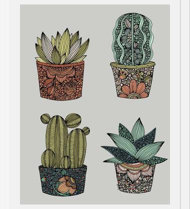 Cuadro Little cactus