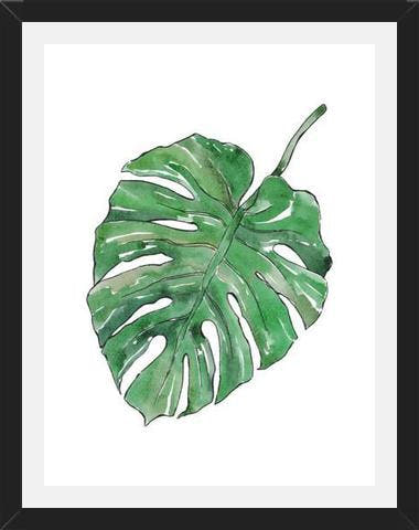Cuadro Monstera Deliciosa