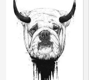 Cuadro Bulldog
