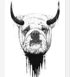 Cuadro Bulldog