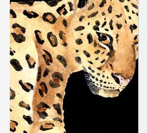 Cuadro Leopardo