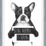 Cuadro Being normal is Boring