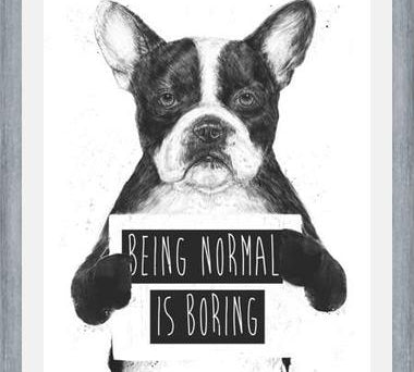 Cuadro Being normal is Boring
