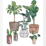Cuadro Plantas
