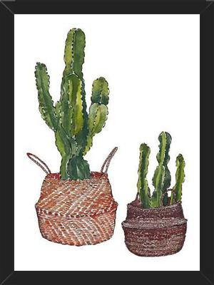 Cuadro Cactus