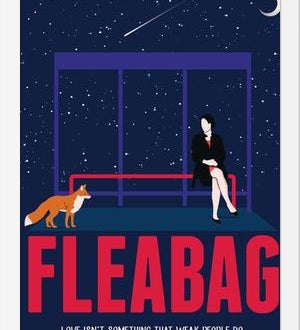 Cuadro Fleabag