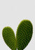 Canvas Heart Cactus