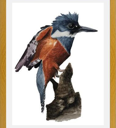 Cuadro Martín pescador
