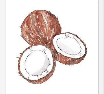 Cuadro COCONUTS