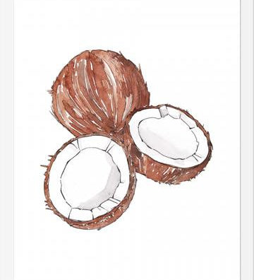 Cuadro COCONUTS