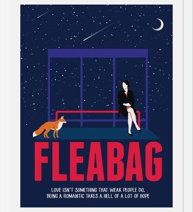Cuadro Fleabag
