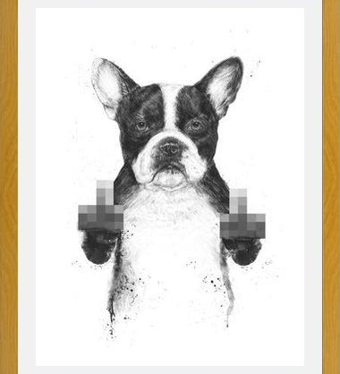 Cuadro Censored dog