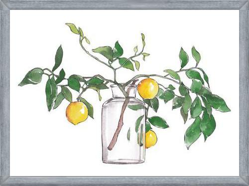 Cuadro Lemon Branch