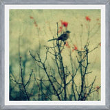 Cuadro Autumn Bird