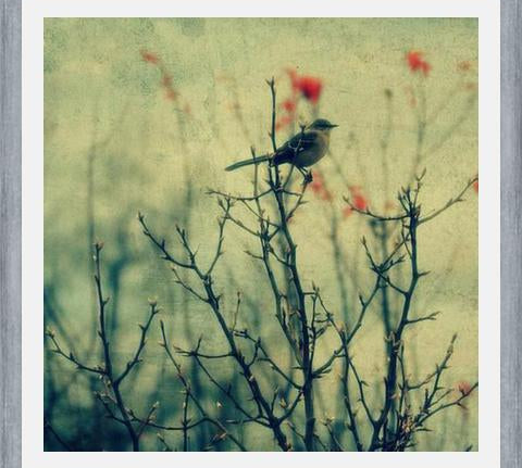 Cuadro Autumn Bird