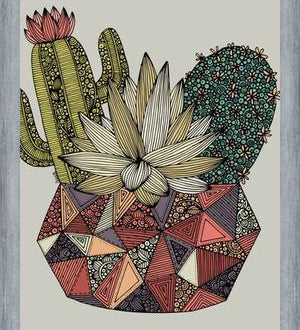 Cuadro Cactus