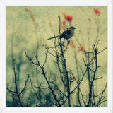 Cuadro Autumn Bird