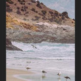 Cuadro Papudo, Chile