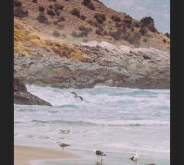 Cuadro Papudo, Chile
